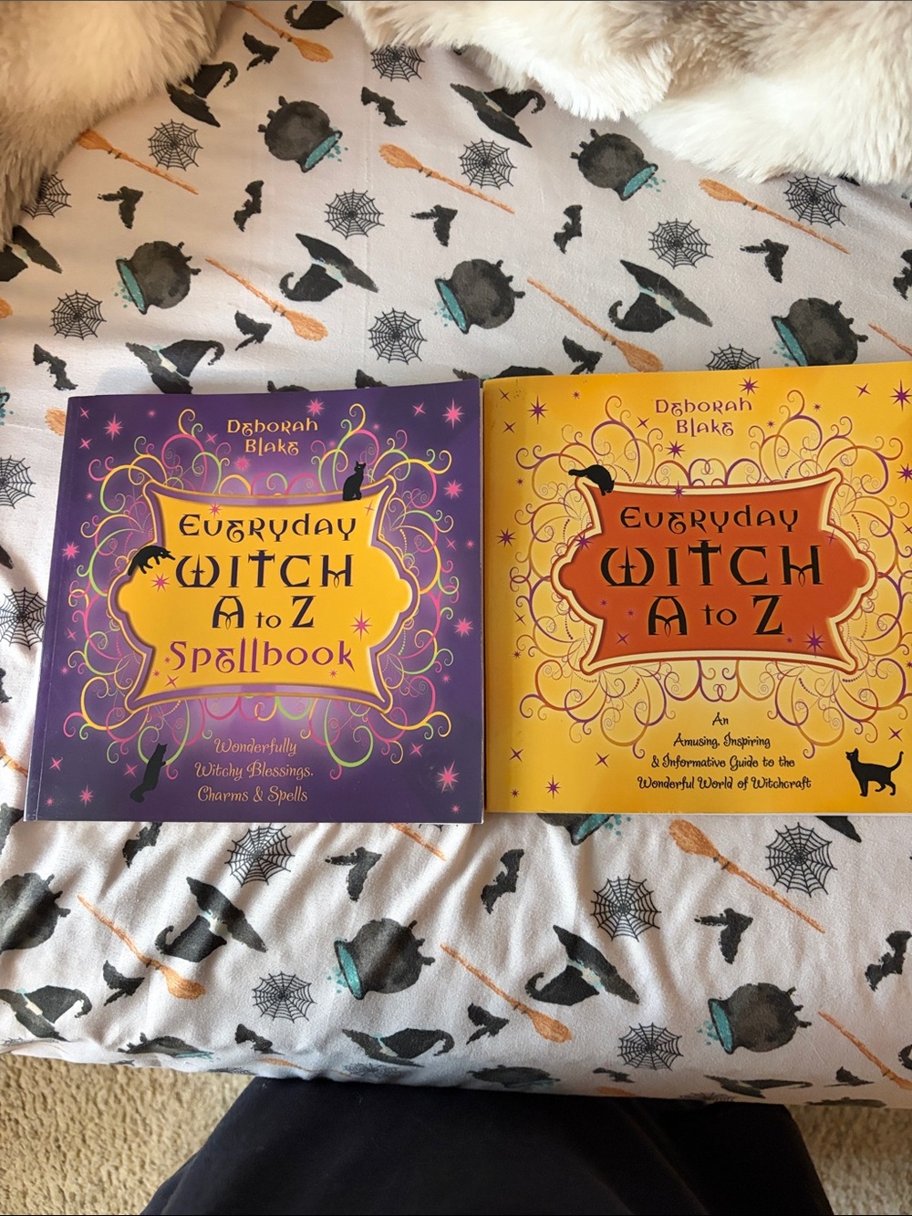 Everyday Witch A-Z Spellbook/Every Day Witch A-Z 2 Book Bundle By Deborah Blake
